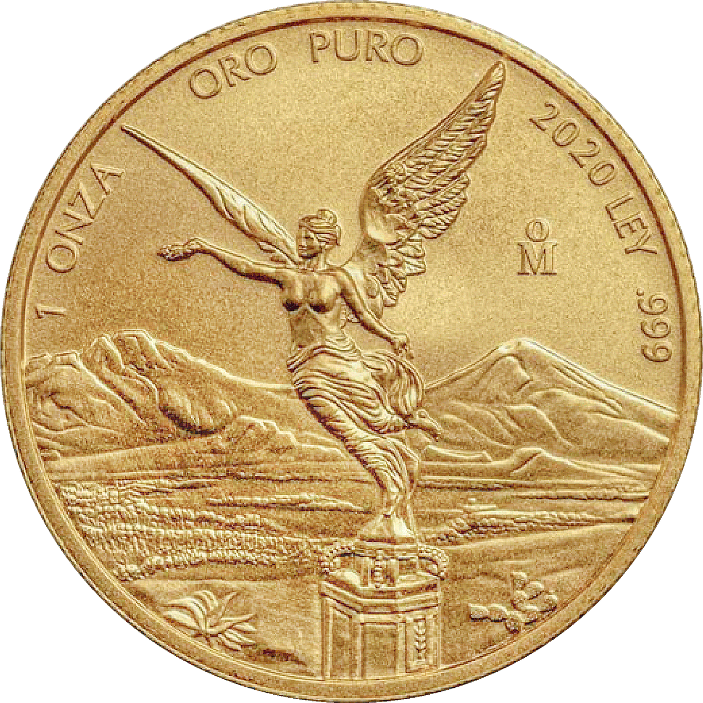 Moneda 1 Onza Libertad Oro (Año Aleatorio, Condición Bueno/Regular)